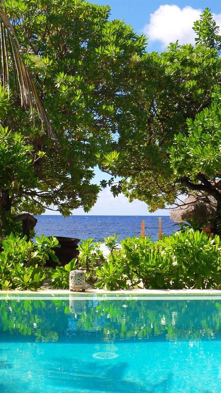 Temae Green Lodge Moorea מראה חיצוני תמונה